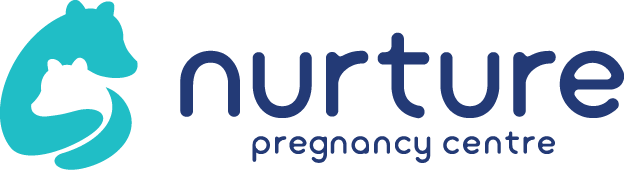 cropped-Nurture_Logo_Teal-Blue_Horizontal_Large.png